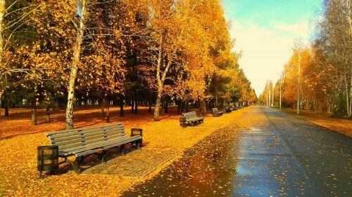 Autumn-4.jpg