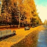 Autumn-4