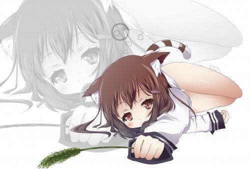 Konachan.com 201069 animal ears anthropomorphism blush brown eyes brown hair catgirl kantai collecti