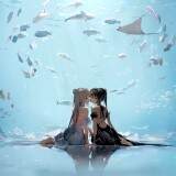---4k_b959459398b23fad
