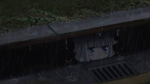 51.jpg