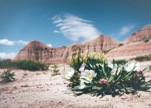 Photo-by-Jordan-Whitt-X5c3f2QZGXQ.jpg