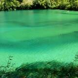 green-lake