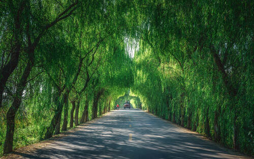 township-road.jpg