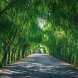township-road
