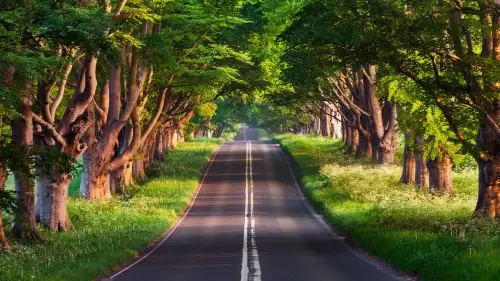 4c994a839314896bd49704be7700b750.webp