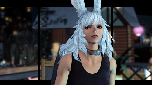 Max-rabbit_Sit-3.png