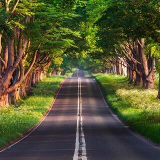 03832_blandfordroad_3840x2400
