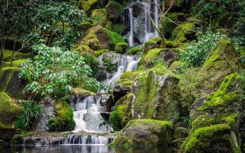 03866_thejapanesegardens_3840x2400.jpeg