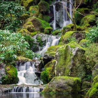 03866_thejapanesegardens_3840x2400