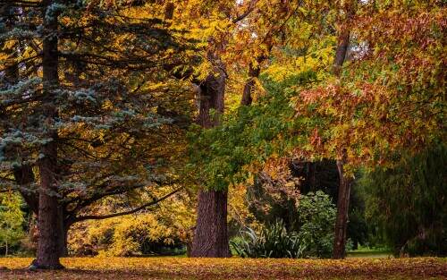 03891_autumncolours_3840x2400.jpeg