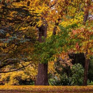 03891_autumncolours_3840x2400