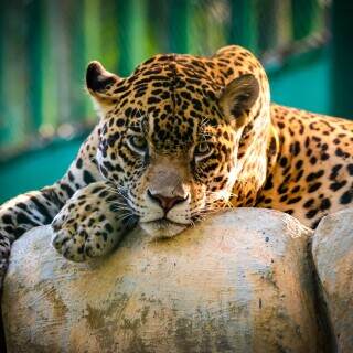 03903_tauntingeyes_3840x2400