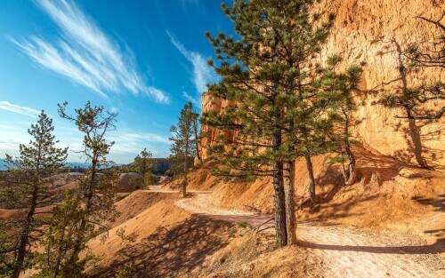 03909_insidebrycecanyon_3840x2400.jpeg