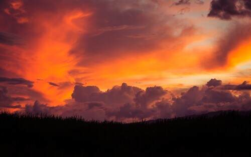03929_tangerinesinthesky_3840x2400.jpeg