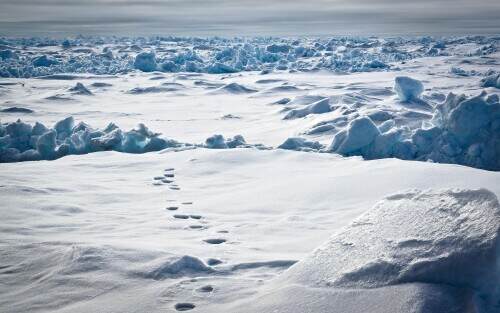 03933_polartracks_3840x2400.jpeg