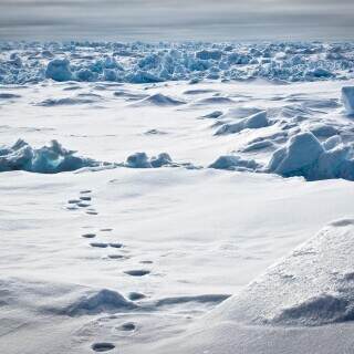 03933_polartracks_3840x2400