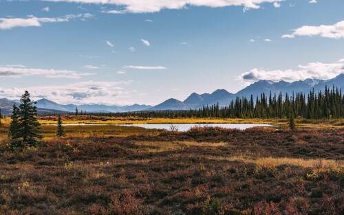 Autumn-in-Alaska.jpeg