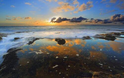 anemonepoolreflections.jpeg
