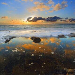 anemonepoolreflections