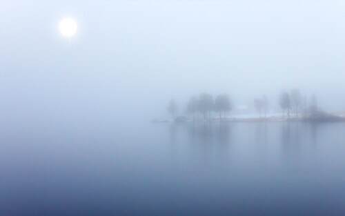 bluefog.jpeg