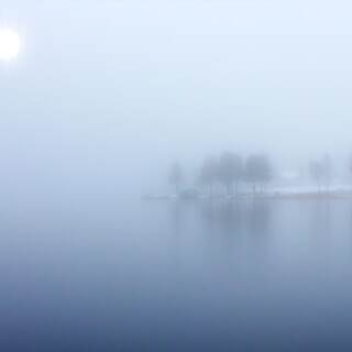 bluefog