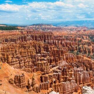 bryce