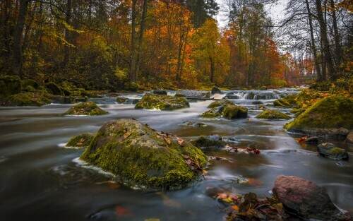 colorsofautumn.jpeg