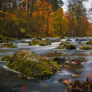 colorsofautumn