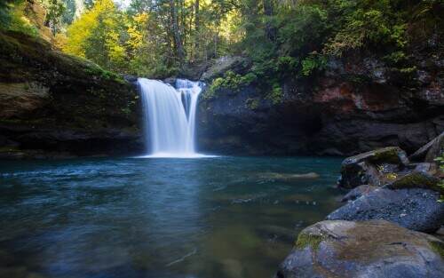 coquillefalls.jpeg