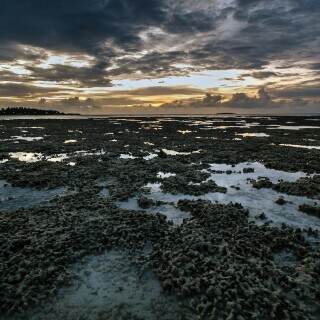 coralsunset