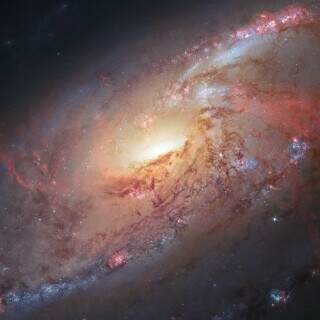 cosmologicalmasterpiece
