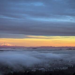 crawlingoverportland