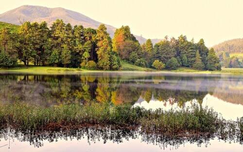 dawnatthelake.jpeg