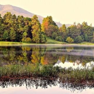 dawnatthelake