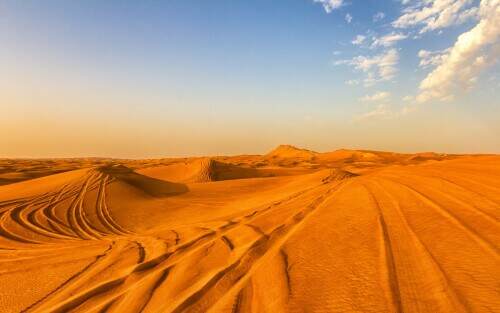 desertsafari.jpeg