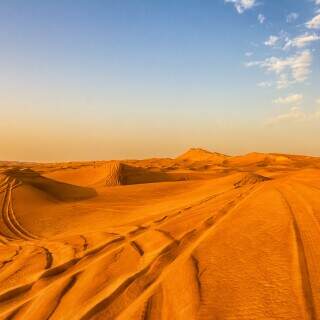 desertsafari