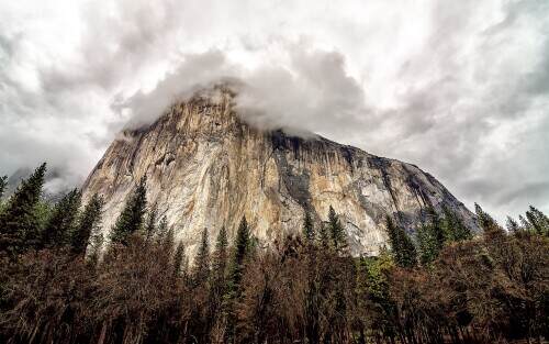 elcapitandaresyou.jpeg