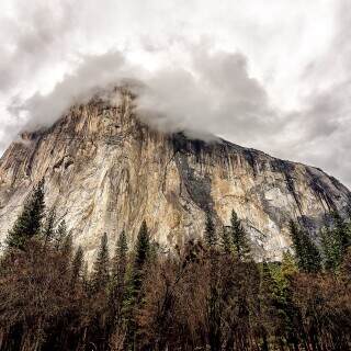 elcapitandaresyou