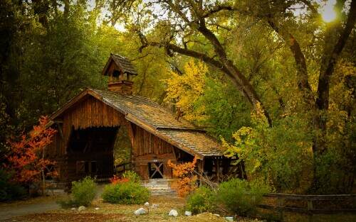 fall.jpeg