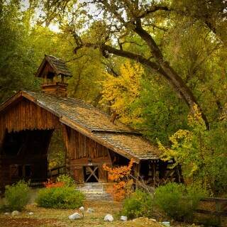 fall