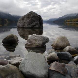 fallinwaterton