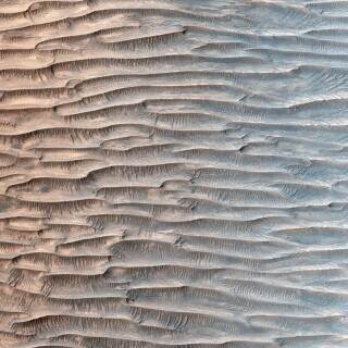 featheryridges