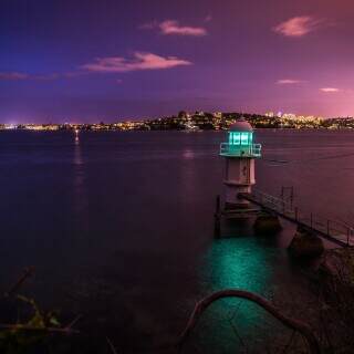 greeninpurple