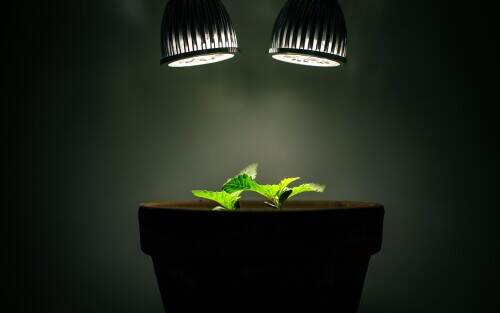greensynthesis.jpeg
