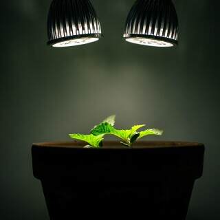 greensynthesis