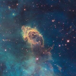 jetincarina