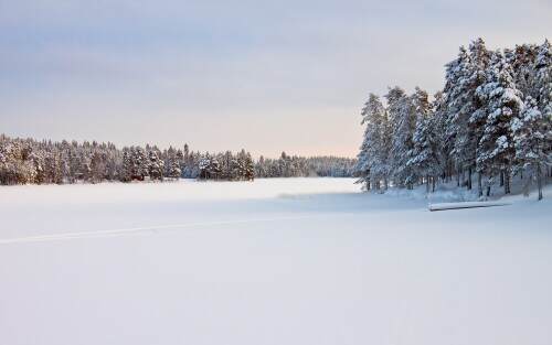 landscapeinsnow.jpeg