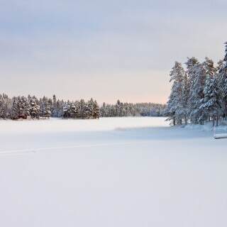 landscapeinsnow