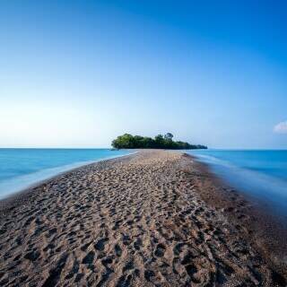 lonelyisland